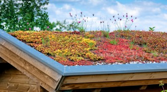 Les défauts d'une toiture végétalisée ne sont pas couverts par la plupart des garanties