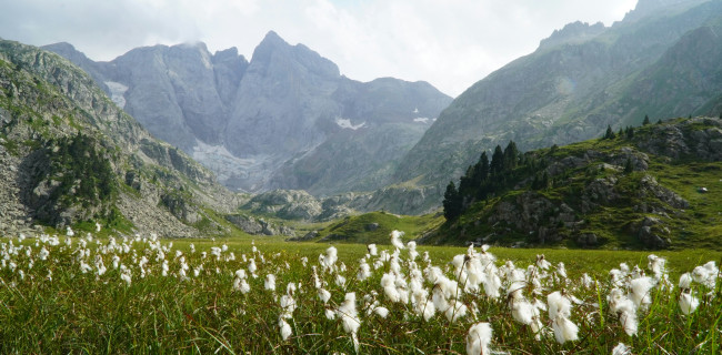 Rachat de crédit Pyrénées-Orientales (66)